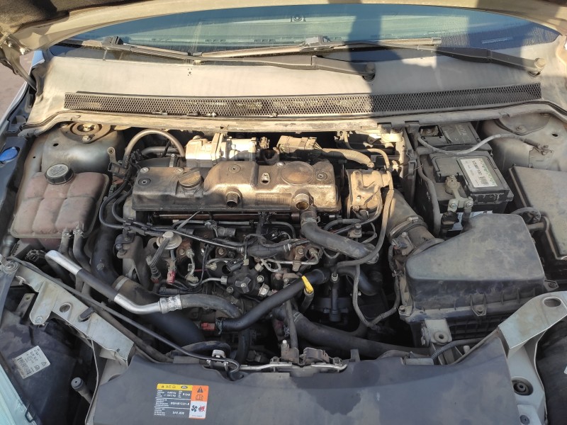 ford focus berlina (cap) del año 2005