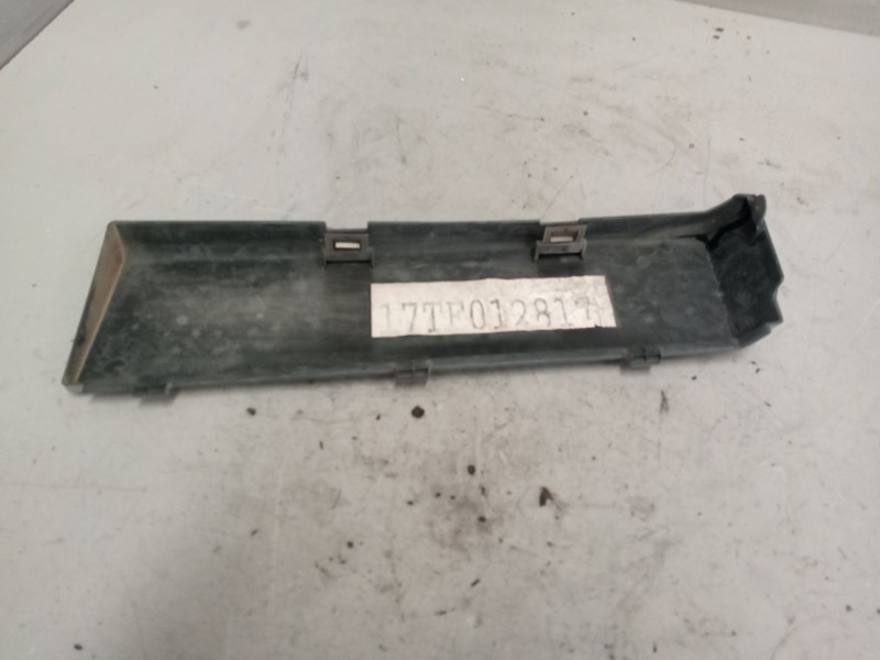 Recambio de molduras delanteras para renault magnum ab 2005 12.8 diesel referencia OEM IAM 5010468807  IZQUIERDA