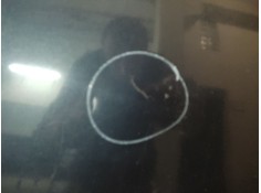 Recambio de capo para suzuki baleno berlina sy (eg) 1.6 (3-ptas.) referencia OEM IAM    2