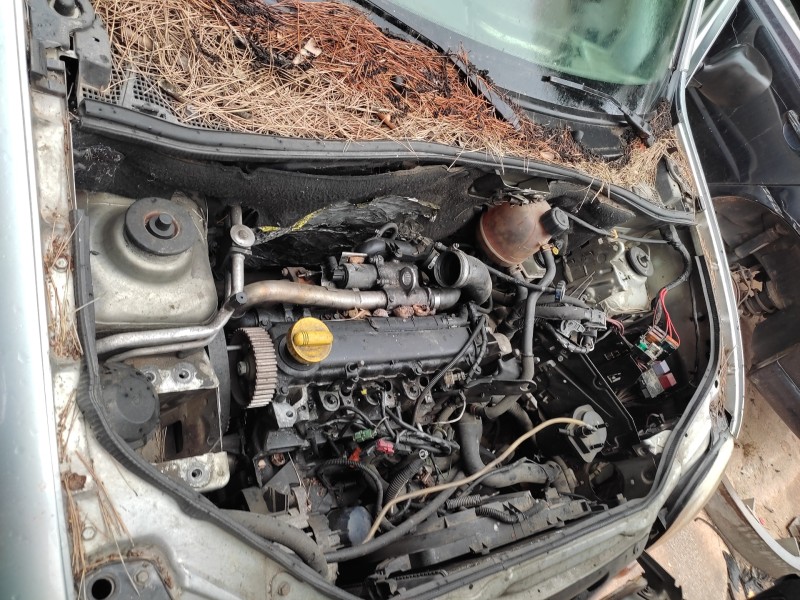 renault kangoo (f/kc0) del año 2002