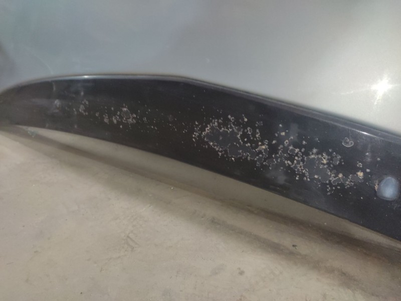 Recambio de capo para citroën c5 berlina 2.0 hdi cat (rhz / dw10ated) referencia OEM IAM   