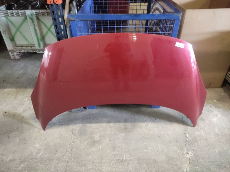 Recambio de capo para renault grand scénic iii (jz0/1_) 1.5 dci referencia OEM IAM   