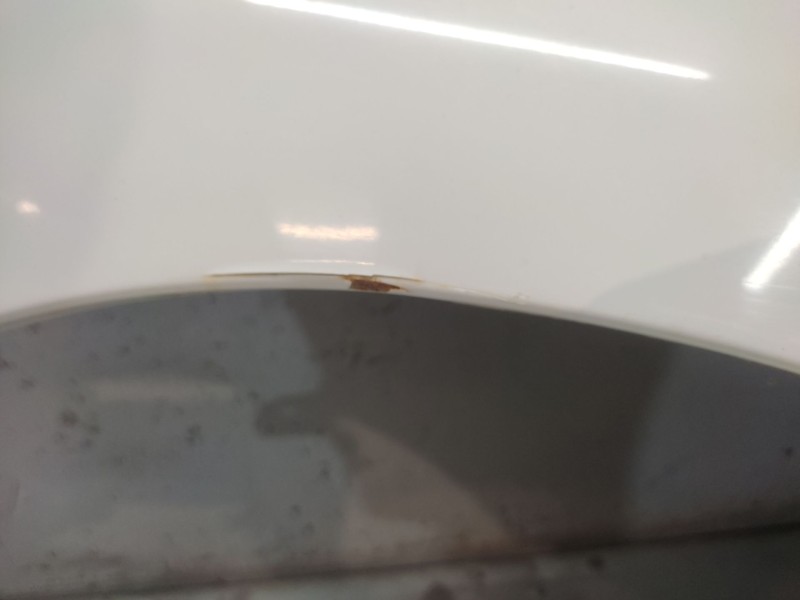 Recambio de aleta delantera derecha para seat ibiza (6k1) select referencia OEM IAM   