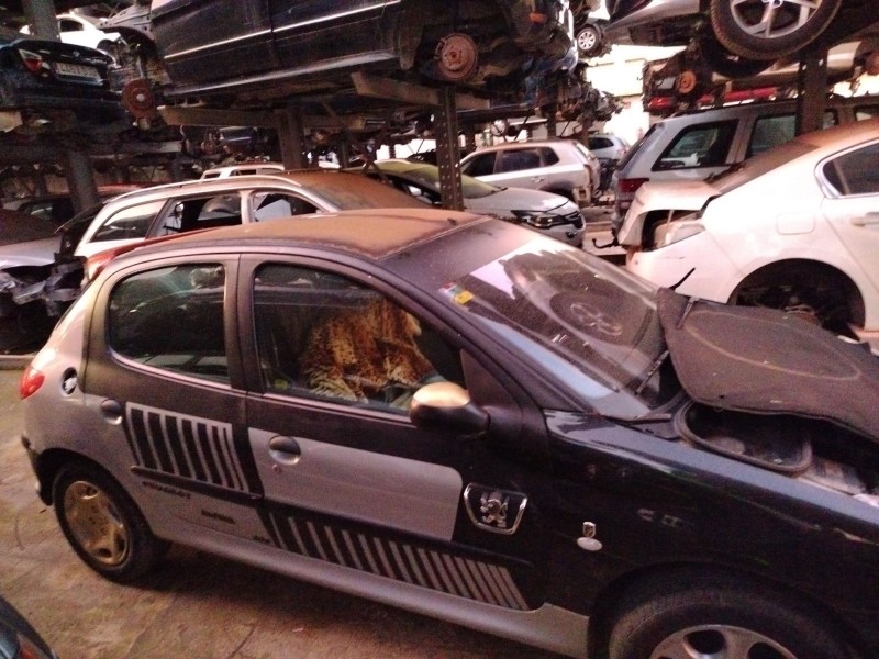 peugeot 206 hatchback (2a/c) del año 2001