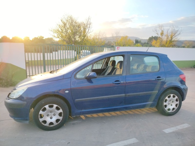 peugeot 307 (s1) del año 2004