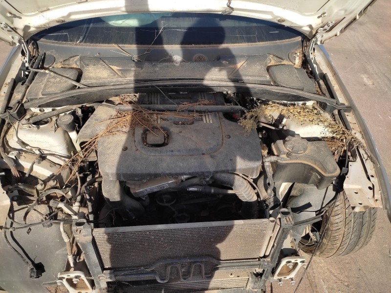 bmw serie 1 berlina (e81/e87) del año 2006