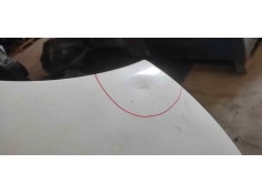 Recambio de capo para renault kangoo (f/kc0) authentique referencia OEM IAM    2