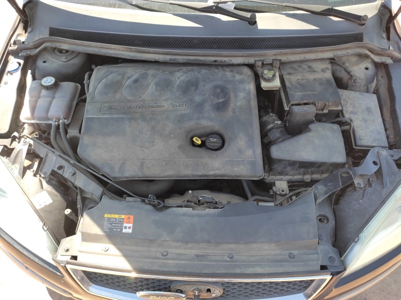 ford focus berlina (cap) del año 2005