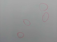 Recambio de capo para seat marbella ce referencia OEM IAM SE029559004A   2