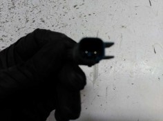 Recambio de sensor abs para ford focus sportbreak (cap) ghia referencia OEM IAM    2