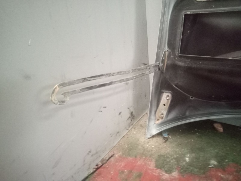 Recambio de capo para riocar march 07 referencia OEM IAM A9067500002  