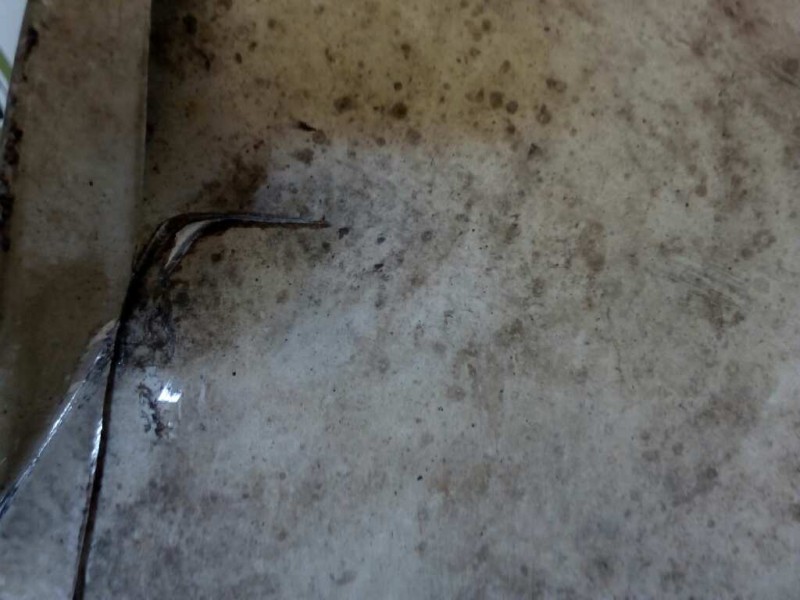 Recambio de catalizador para man tg - l 12.xxx 12.240 chasis lx referencia OEM IAM S1319843730001002700  