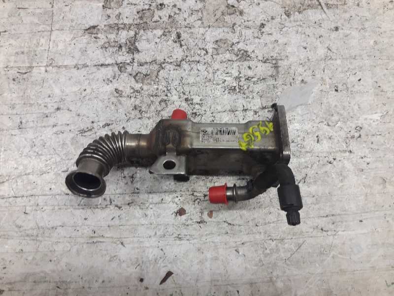 Recambio de refrigerador egr para renault scenic ii authentique referencia OEM IAM 50006604  