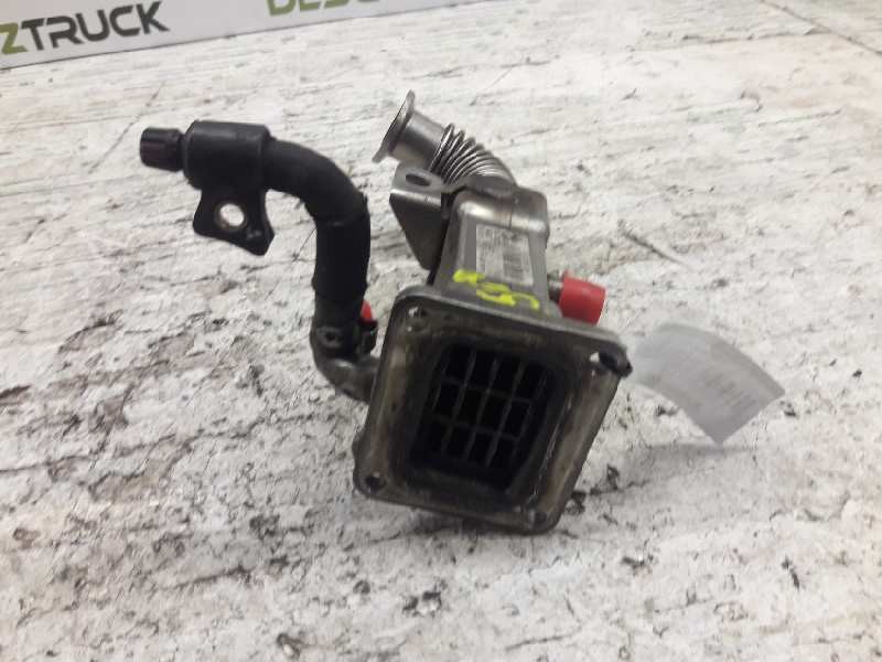 Recambio de refrigerador egr para renault scenic ii authentique referencia OEM IAM 50006604  