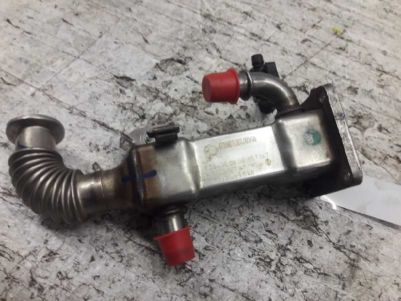 Recambio de refrigerador egr para renault scenic ii authentique referencia OEM IAM 50006604  