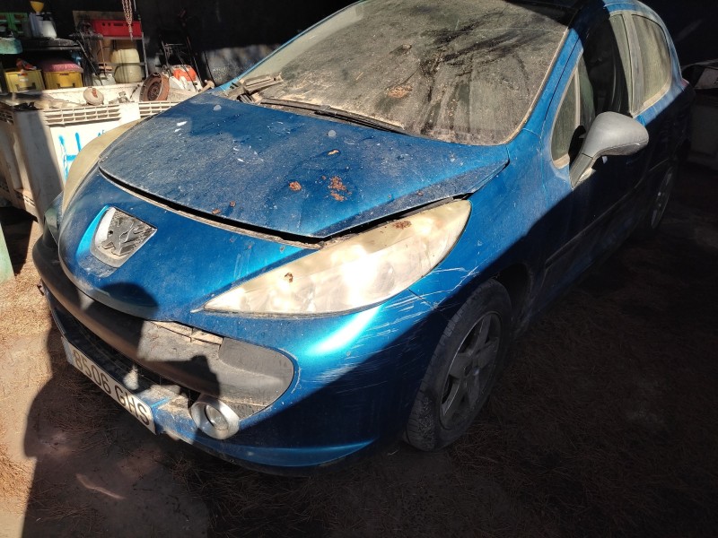 peugeot 207 del año 2008