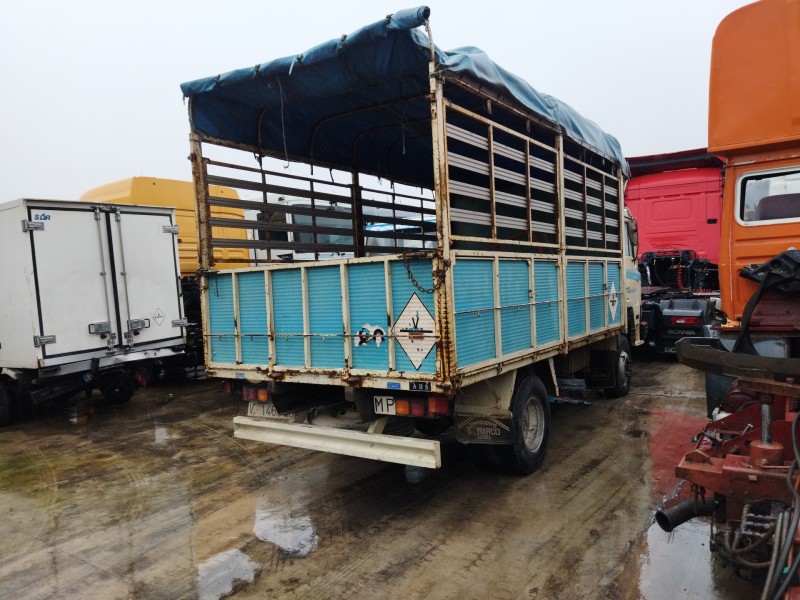 . avia del año 1981