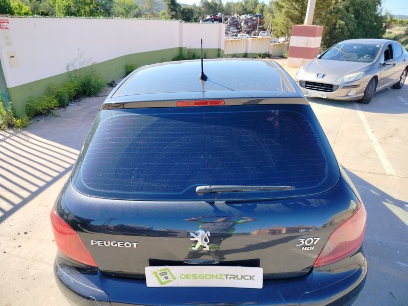 peugeot 307 (s1) del año 2005