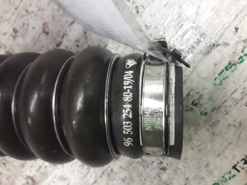 Recambio de tubo para citroen c4 berlina collection referencia OEM IAM 96503254801904  