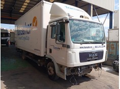 man trucks tgl del año 2017 2