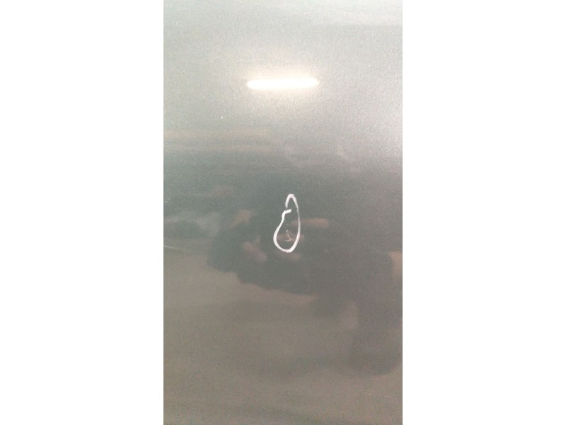 Recambio de puerta trasera izquierda para peugeot 206 berlina xr referencia OEM IAM   