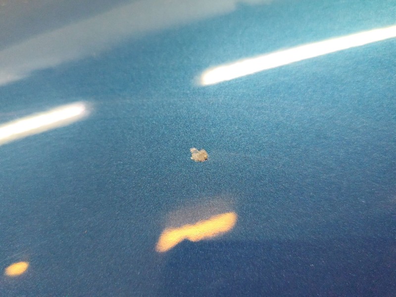 Recambio de aleta delantera izquierda para nissan primera (p11) 1.8 16v referencia OEM IAM   