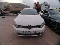 volkswagen golf vii variant (ba5, bv5) del año 2018