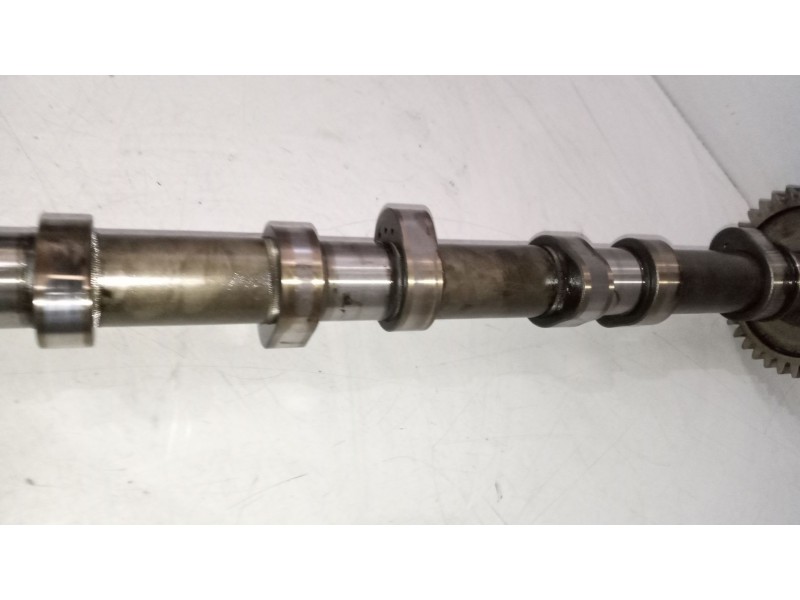 Recambio de arbol de levas para man tgx 18.xxx fg / 4x2 ll xl referencia OEM IAM 51044015089  