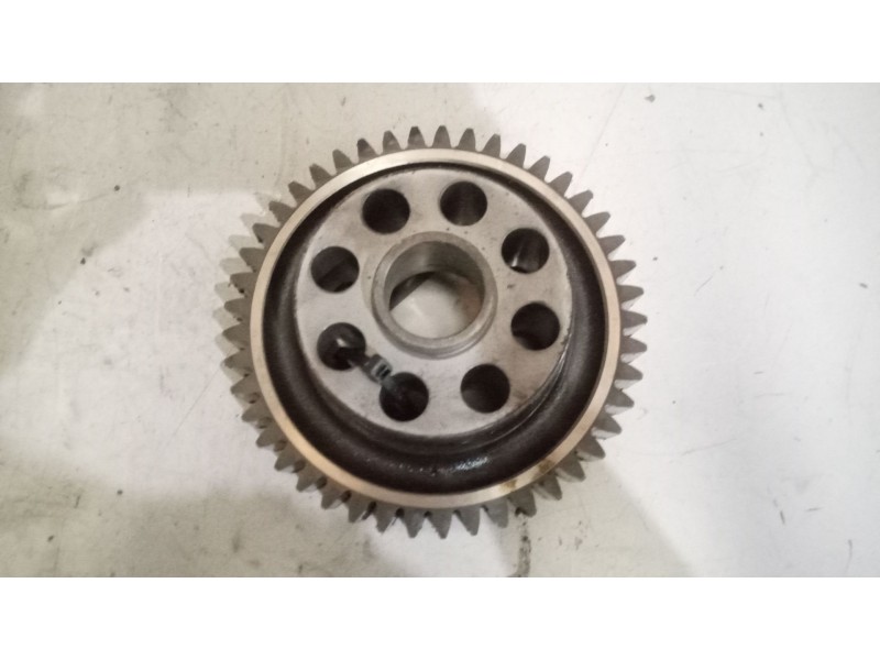 Recambio de piñon para man tgx 18.xxx 12.4 diesel referencia OEM IAM 51021150256  