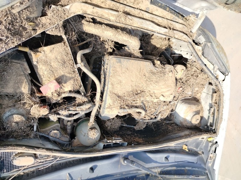 renault kangoo express (fc0/1_) del año 2006