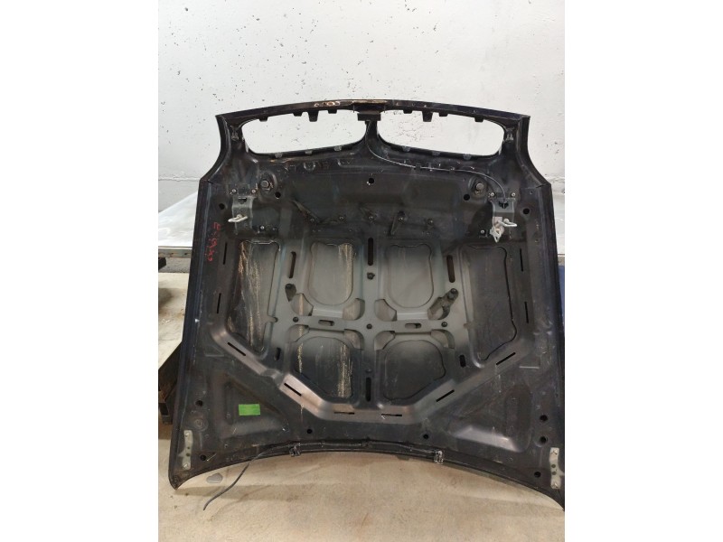 Recambio de capo para bmw x5 (e70) xdrive 30 d referencia OEM IAM   