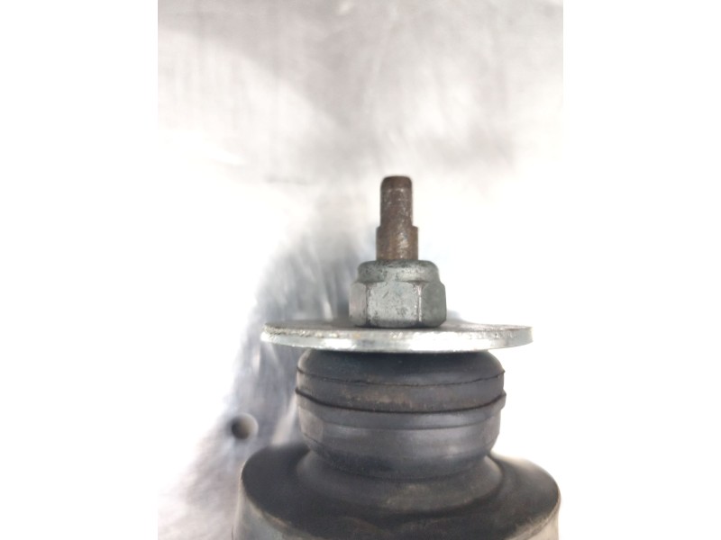 Recambio de amortiguador trasero derecho para seat ibiza (6l1) cool referencia OEM IAM 423142jp  