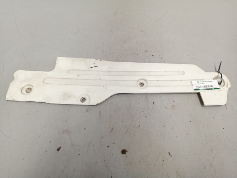 Recambio de molduras delanteras para volvo fh xxx 12.8 diesel referencia OEM IAM 20507021  