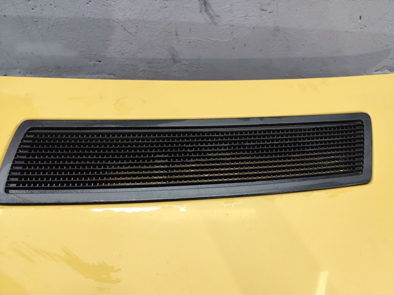 Recambio de capo para renault trafic ii furgoneta (fl) 1.9 dci 100 (fl0c) referencia OEM IAM   