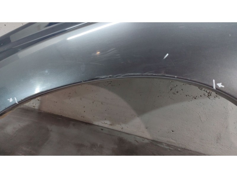 Recambio de aleta delantera izquierda para hyundai terracan (hp) 2.9 crdi full referencia OEM IAM   