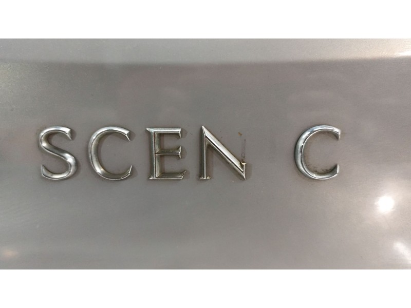 Recambio de porton trasero para renault scenic ii authentique referencia OEM IAM   