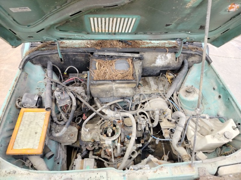 fiat panda del año 1980