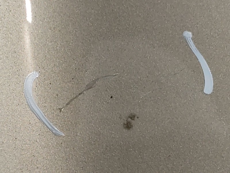 Recambio de aleta delantera izquierda para nissan x-trail ii (t31) 2.0 dci 4x4 referencia OEM IAM   