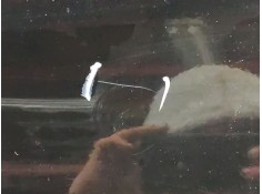 Recambio de puerta delantera izquierda para jeep compass (mk49) 2.2 crd referencia OEM IAM    2