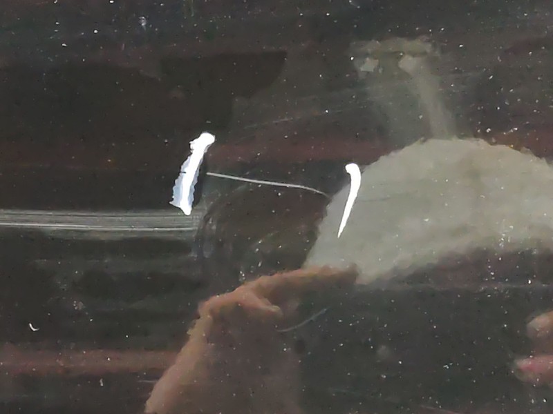 Recambio de puerta delantera izquierda para jeep compass (mk49) 2.2 crd referencia OEM IAM   