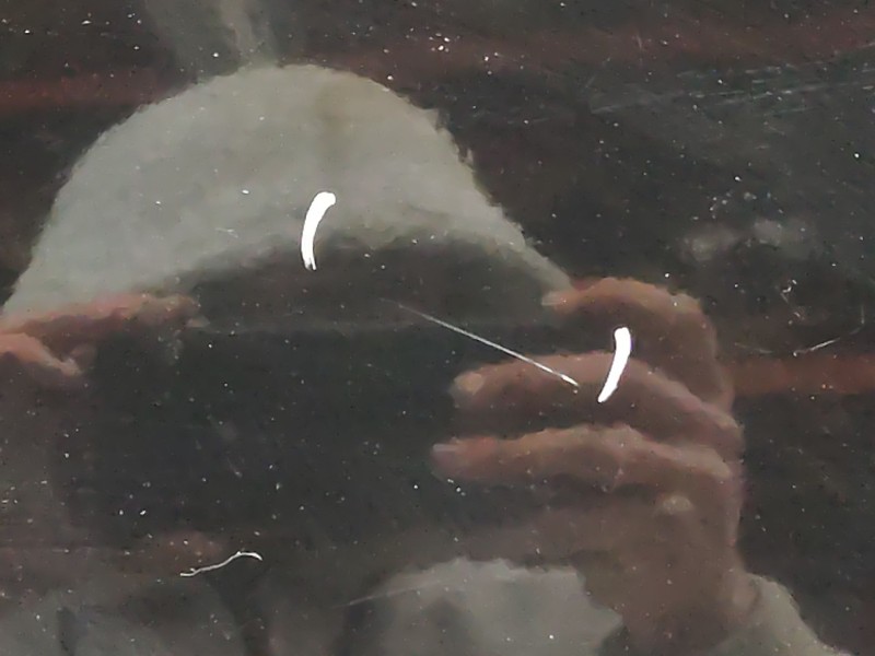 Recambio de puerta delantera izquierda para jeep compass (mk49) 2.2 crd referencia OEM IAM   