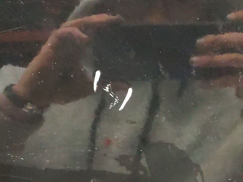 Recambio de puerta delantera izquierda para jeep compass (mk49) 2.2 crd referencia OEM IAM   