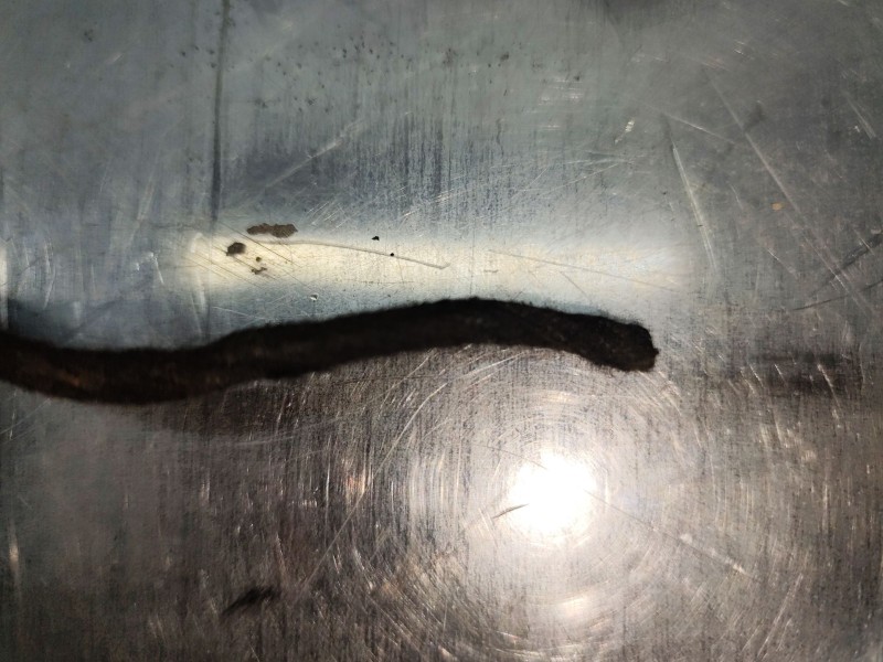 Recambio de retrovisor izquierdo para bmw x3 (e83) 3.0d referencia OEM IAM 010790  