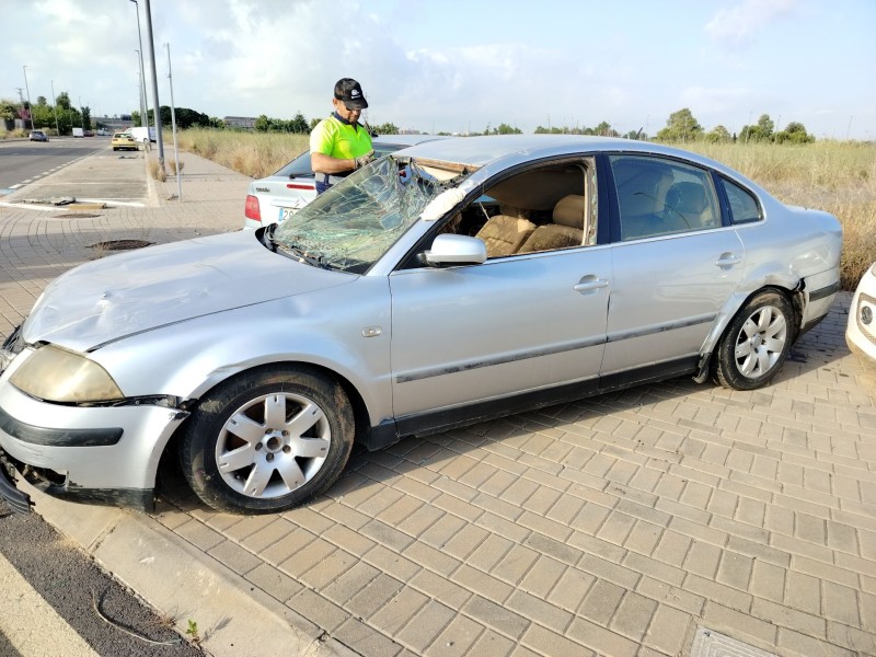 volkswagen passat berlina (3b3) del año 2001