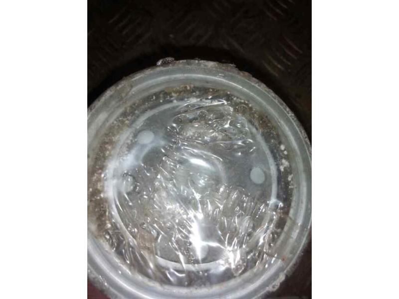 Recambio de filtro aceite para . renault dg320.26 referencia OEM IAM WF2061 MARCA:FLEETGUARD 