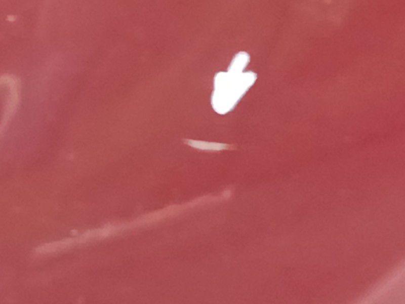 Recambio de aleta delantera izquierda para citroën c3 1.4 hdi sx plus referencia OEM IAM   