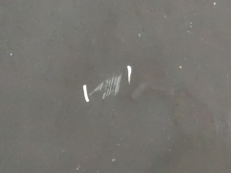 Recambio de capo para peugeot 308 confort referencia OEM IAM   