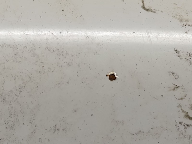 Recambio de capo para volkswagen caddy ka/kb (2k) 2.0 sdi referencia OEM IAM   