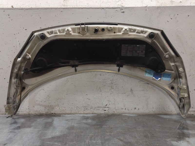 Recambio de capo para renault scenic ii grand confort dynamique referencia OEM IAM   