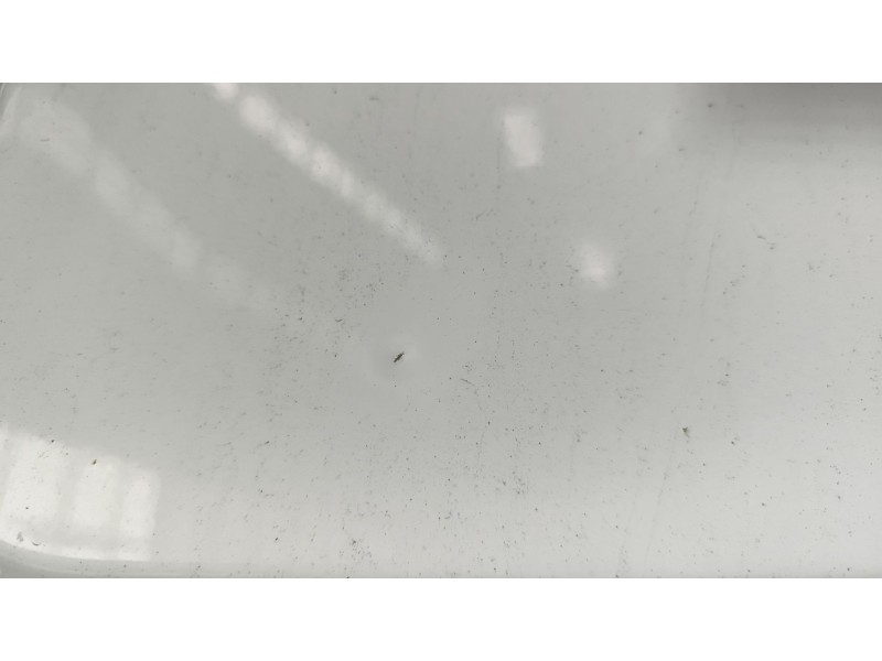 Recambio de puerta trasera izquierda para iveco daily vi furgoneta 33s16, 35s16, 35c16, 40c16, 50c16 referencia OEM IAM   